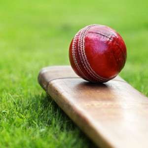 Cricket Club Programme Printing